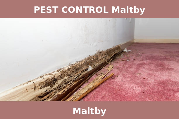 PEST CONTROL Maltby